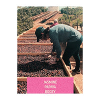 Cerro Azul - Honduras | Drop Coffee Roasters