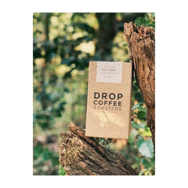 Los Andes, El Salvador - Drop Coffee Roasters